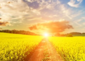 Hercegovinu očekuje niz sunčanih dana, vrhunac sredinom tjedna