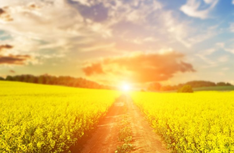 Hercegovinu očekuje niz sunčanih dana, vrhunac sredinom tjedna