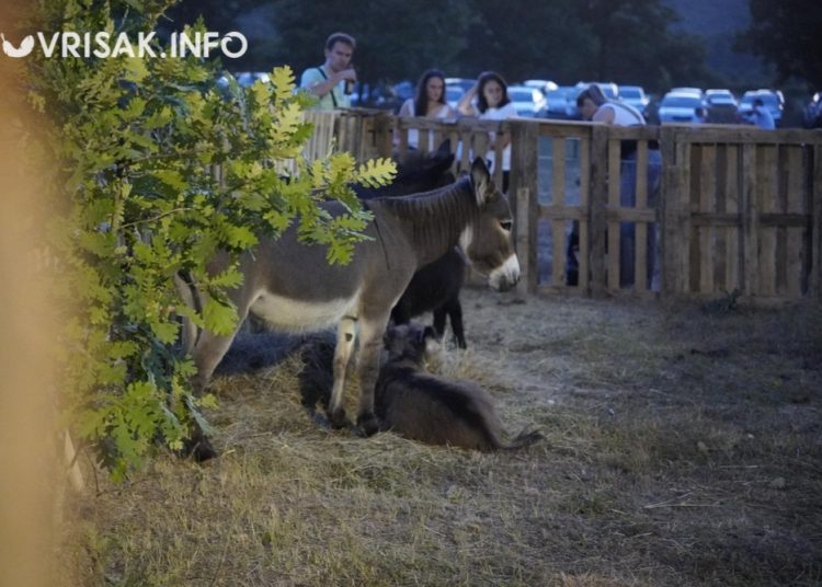 Počeli ‘Rimski dani’ u Mokrom: Selo pretvoreno u antičku pozornicu