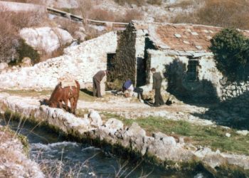 Iz prošlosti Širokog Brijega: Pored mlinice u Borku