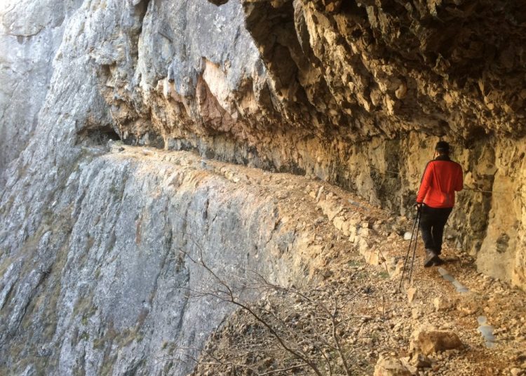 Izvor: Web Graf Vrbanić