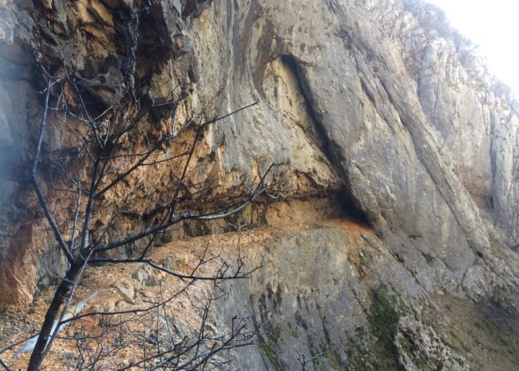 Izvor: Web Graf Vrbanić