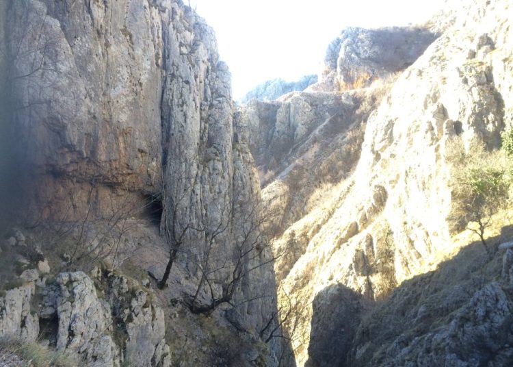 Izvor: Web Graf Vrbanić