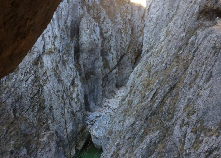 Izvor: Web Graf Vrbanić