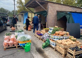 Na Veletržnici u Tasovčićima kod Čapljine već krenula potražnja za zimnicu