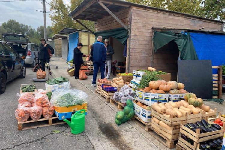 Na Veletržnici u Tasovčićima kod Čapljine već krenula potražnja za zimnicu