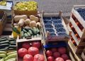 Na čapljinskoj Veletržnici osjeti se „visok datum“ – cijene povrća u padu