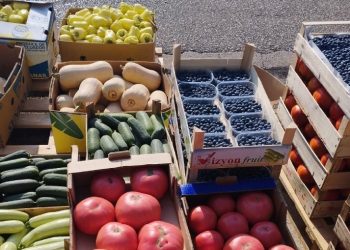 Na čapljinskoj Veletržnici osjeti se „visok datum“ – cijene povrća u padu