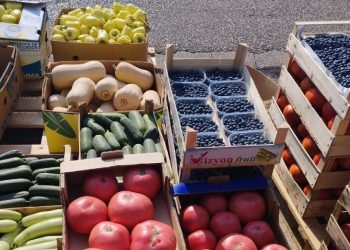Niže cijene povrtnih kultura na čapljinskoj Veletržnici