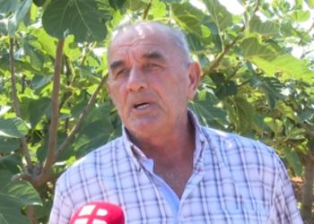 Potencijal smokve u Hercegovini nedovoljno iskorišten