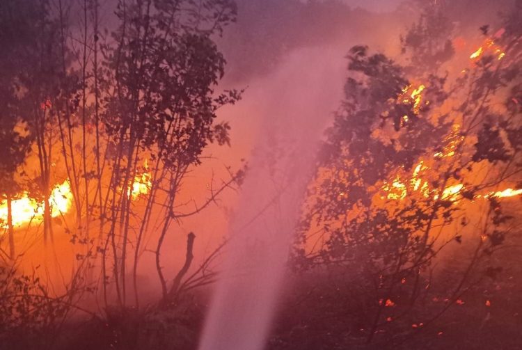 Široki Brijeg: Požar na Kočerinu, sumnja se da je podmetnut