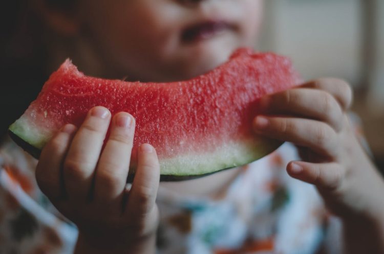 Tradicionalni savjet: Kamen kao ključ sočne i zdrave lubenice
