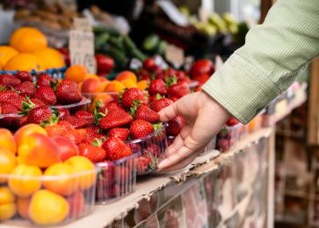 Voće nikad skuplje – cijena kilograma grožđa u 6 godina veća za 12,50, jagoda za 7 KM