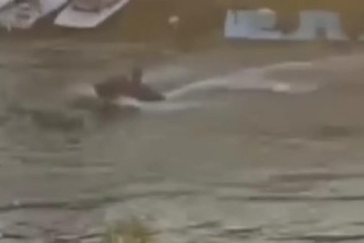 Pančevo: Stravično, pijani vozač skutera, na rijeci naletio na djecu i trenera