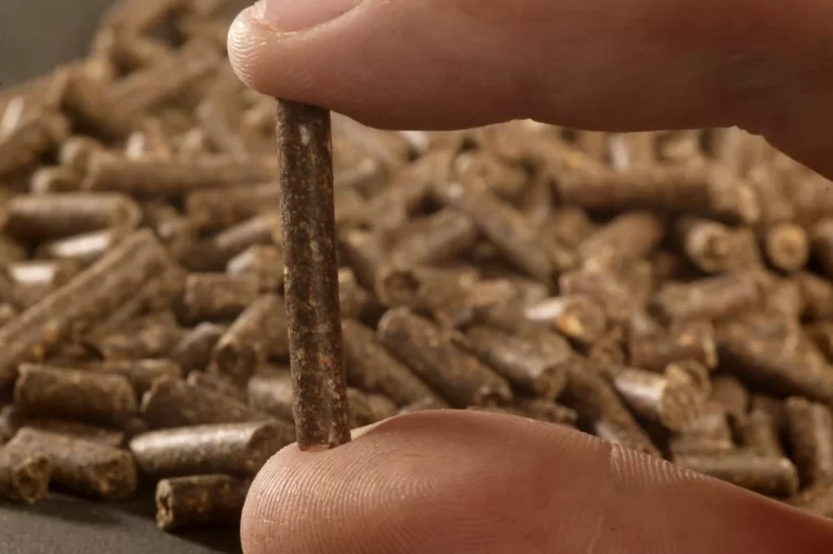 Cijene peleta rastu: Evo kako prepoznati kvalitetan pelet koji vrijedi svake marke