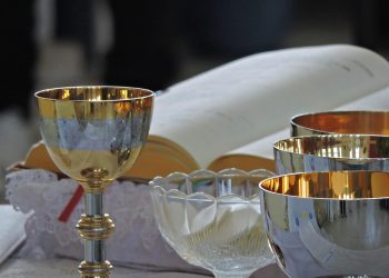 Svećenik Stjepan Ivan Horvat upozorava: “Pričest nije vrijeme za čučnjeve i nagle pokrete”