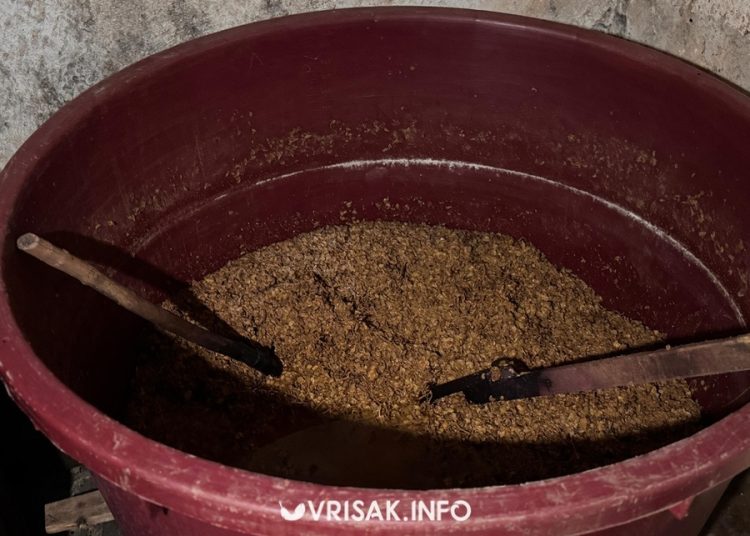 Jesenski radovi u Hercegovini: Berba grožđa, smokava i pečenje rakije