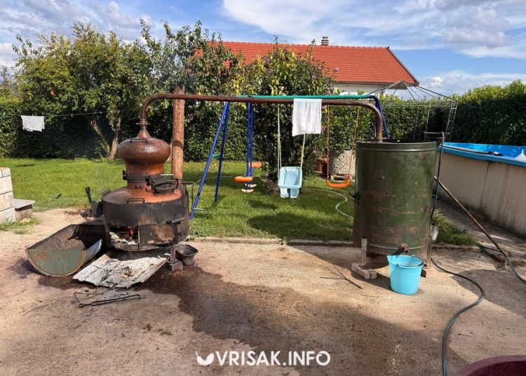 Jesenski radovi u Hercegovini: Berba grožđa, smokava i pečenje rakije