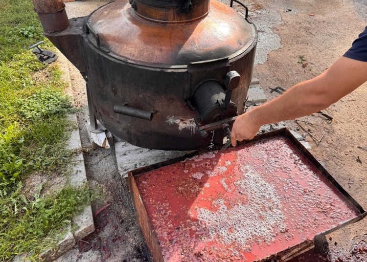 Jesenski radovi u Hercegovini: Berba grožđa, smokava i pečenje rakije