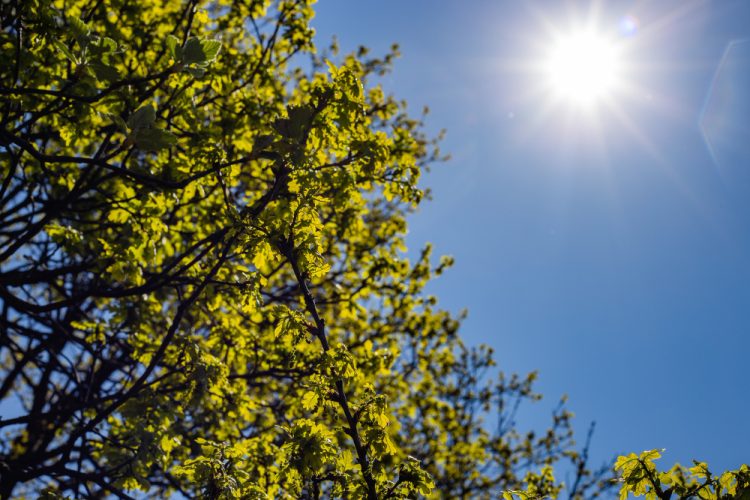 Hercegovinu očekuje produženo ljeto: Sunčano i toplo do 34 °C