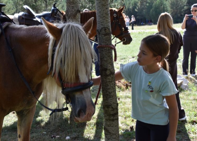 Danas je posljednji dan festivala na Blidinju, evo kako je protekla subota