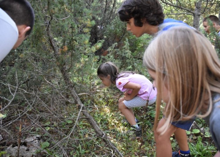 Danas je posljednji dan festivala na Blidinju, evo kako je protekla subota