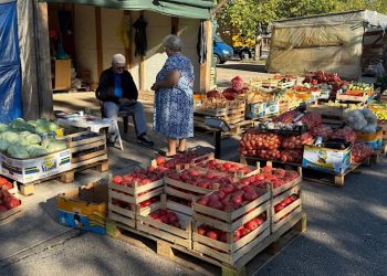 Na tržnici u Čapljini i dalje najveća potražnja za povrćem za zimnicom