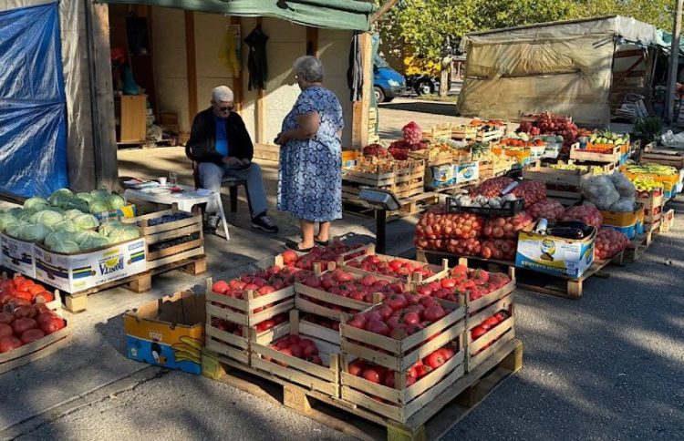 Na tržnici u Čapljini i dalje najveća potražnja za povrćem za zimnicom