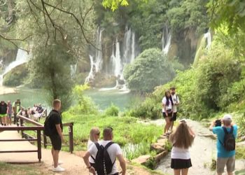 Kravica prepuna turista