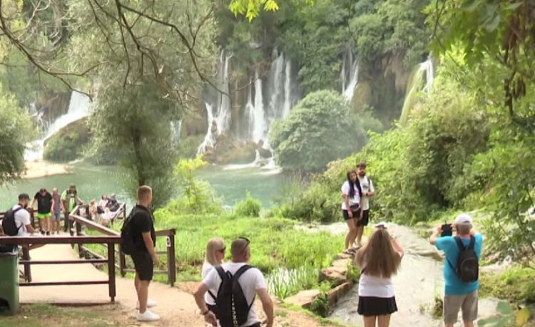 Kravica prepuna turista