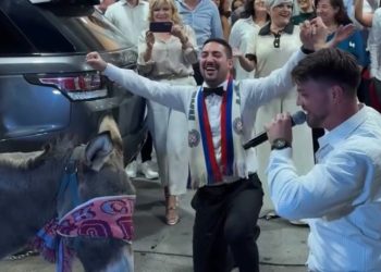 Svadba iz Mostara: Magarac u Hajdukovom šalu iznenadio mladence