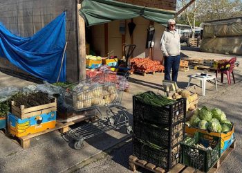 Na čapljinskoj Veletržnici sve više se traži voće i povrće za zimnicu