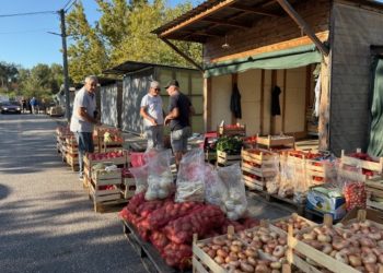 Nove cijene na tržnici u Čapljini: Višak rajčica u prodaji, zelene salate preko 3 KM