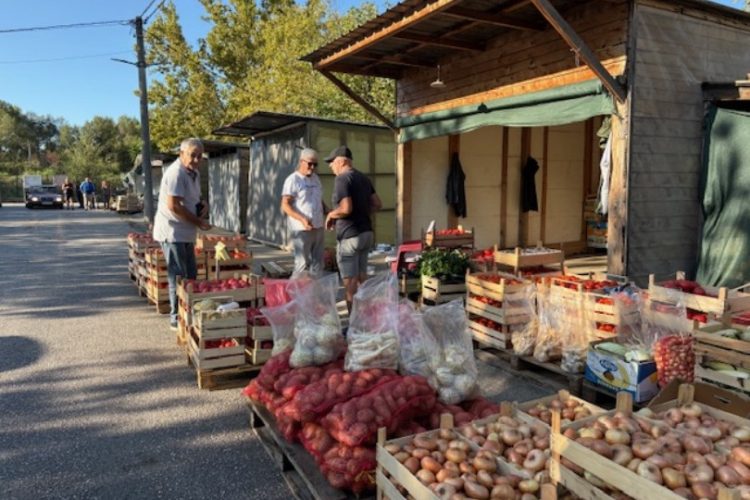 Nove cijene na tržnici u Čapljini: Višak rajčica u prodaji, zelene salate preko 3 KM