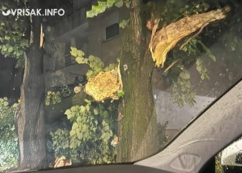 Oružane snage BiH pomažu u uklanjanju stabala u Mostaru