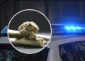 Policija u Čapljini zaplijenila sumnjivu tvar nalik marihuani