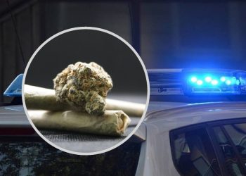 Policija u Čapljini zaplijenila sumnjivu tvar nalik marihuani