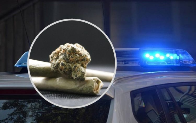 Policija u Čapljini zaplijenila sumnjivu tvar nalik marihuani