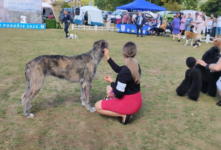 Foto: Radio Posušje