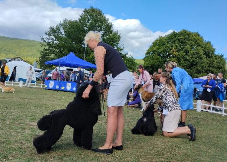 Foto: Radio Posušje