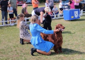 Foto: Radio Posušje