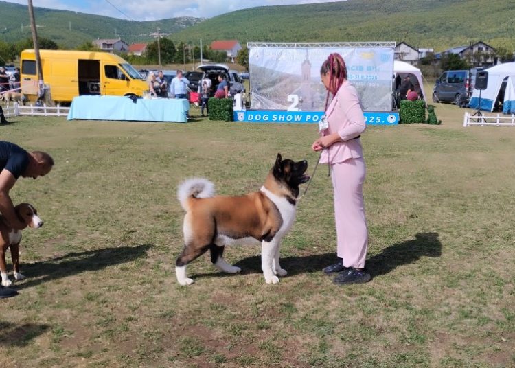 Foto: Radio Posušje