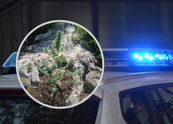 Pretres u Širokom Brijegu: Policija pronašla sumnjivu biljnu materiju