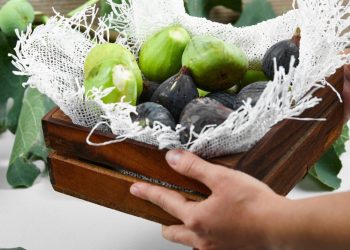 Radionica u Mostaru potvrdila potencijal uzgoja smokve u Hercegovini