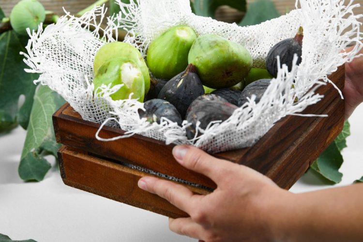 Radionica u Mostaru potvrdila potencijal uzgoja smokve u Hercegovini