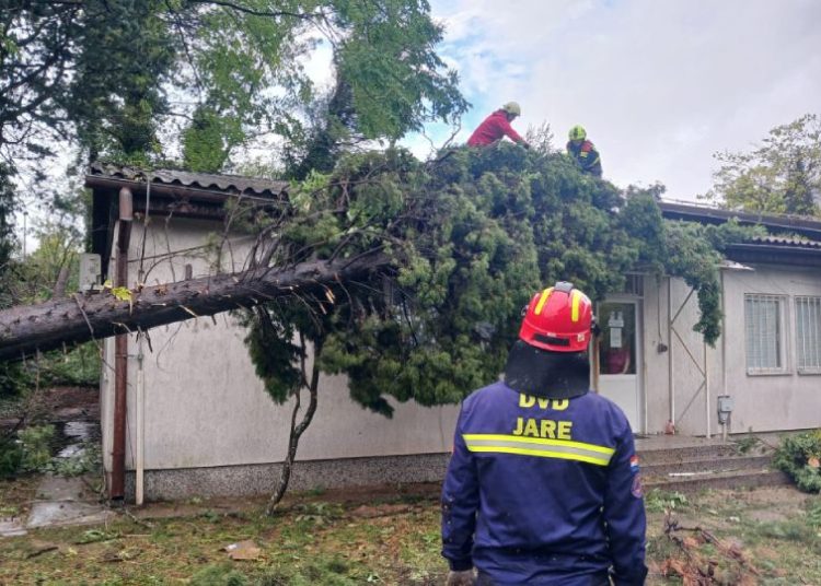 Širokobriješki vatrogasci pomažu Mostaru nakon nevremena: Uklanjaaju stabla