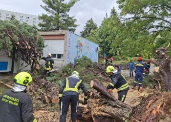 Širokobriješki vatrogasci pomažu Mostaru nakon nevremena: Uklanjaaju stabla