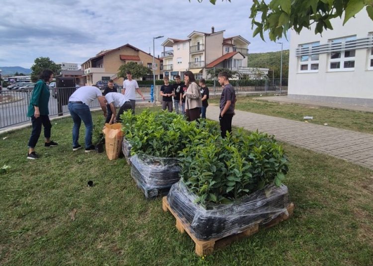 Foto: Druga osnovna škola Široki Brijeg