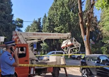 Incident u Trebinju: Radnici ispali iz korpe dizalice dok su sjekli stabla