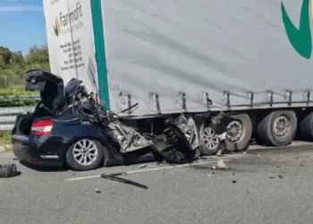 Teška nesreća na carinskom terminalu: Poginuo vozač nakon sudara s kamionom